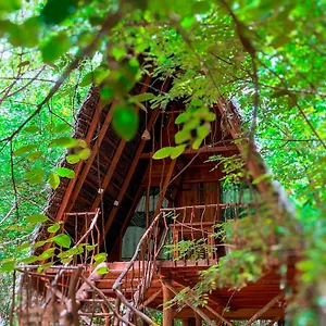 度假村 Tree House Ambasewana, 哈伯勒内